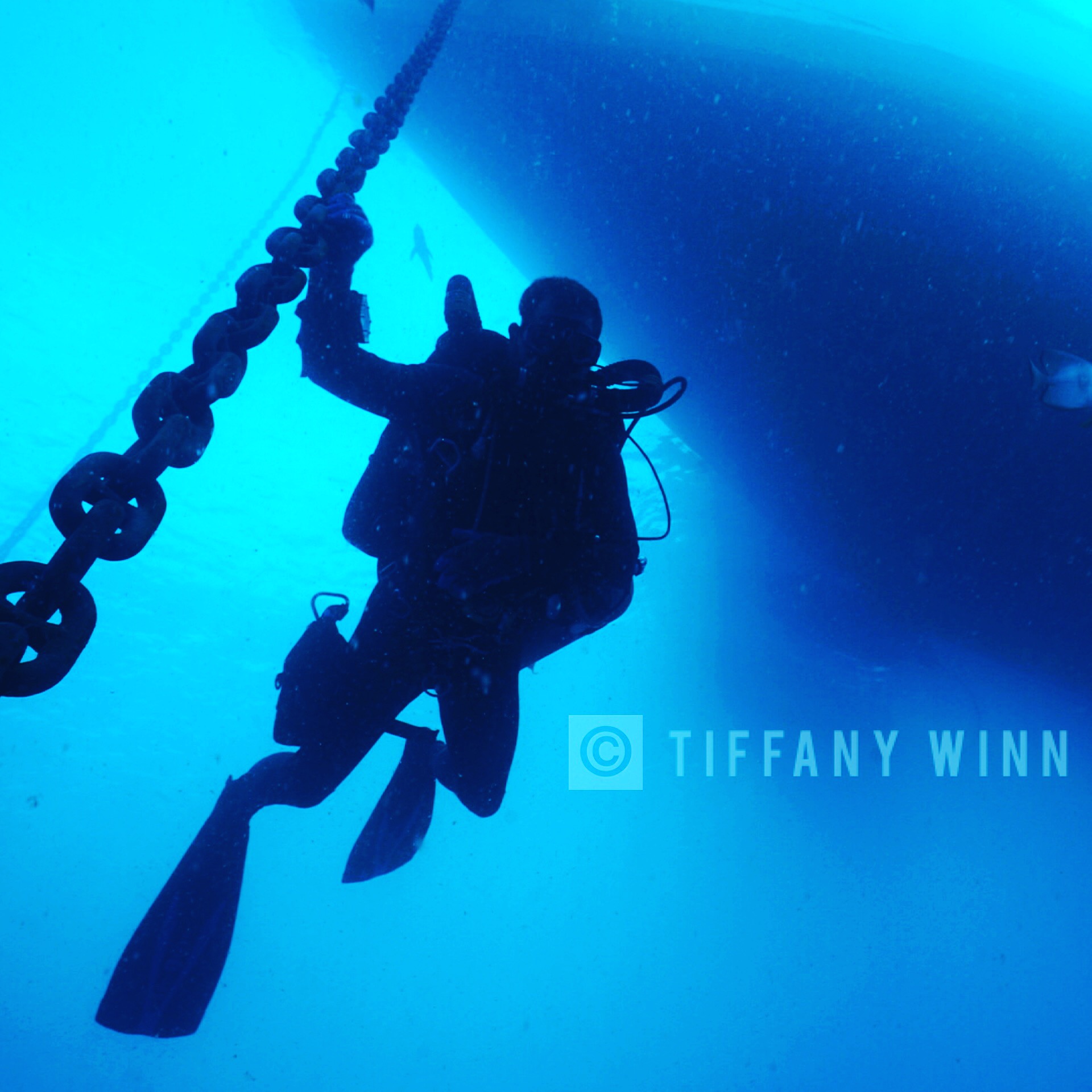 Diver silhouetted on a heavy anchor chain beneath a boat hull. Photo Tiffany Winn.